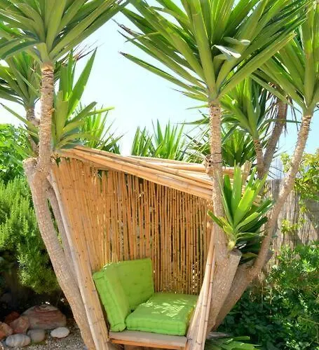 L'olivier Milos Appartement *